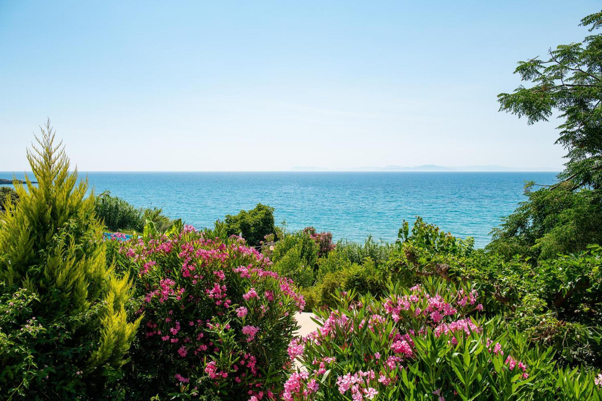 Mare Dei Suites Hotel Ionian Resort Skafidia Esterno foto
