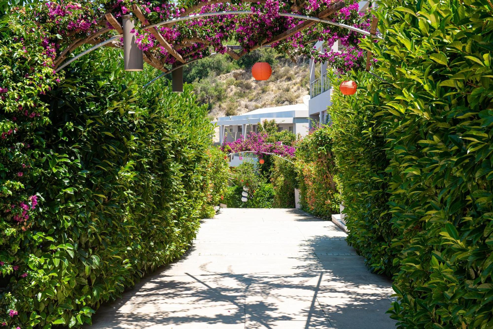 Mare Dei Suites Hotel Ionian Resort Skafidia Esterno foto